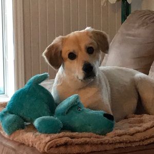 Meet your Posher, Caroline